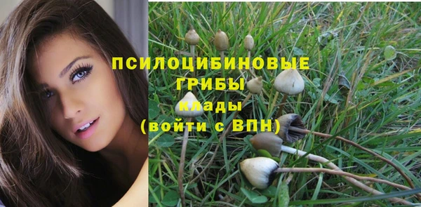 хмурый Белоозёрский