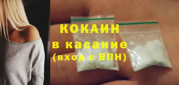 стафф Богданович