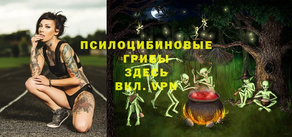 стафф Богданович