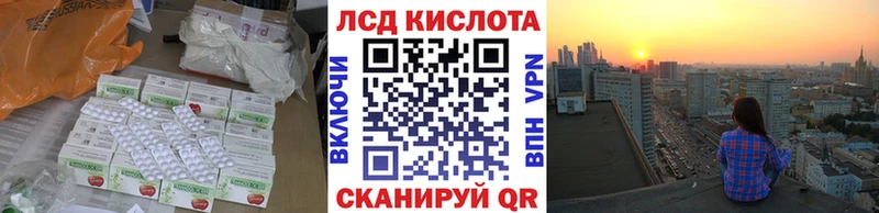 как найти закладки  Волхов  LSD-25 экстази ecstasy 