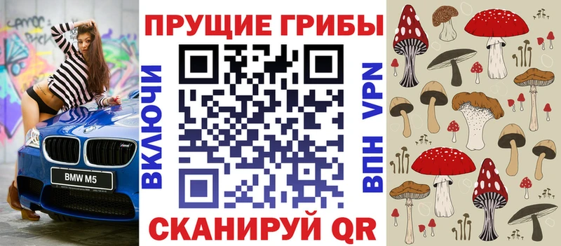 наркошоп Волхов Галлюциногенные грибы Magic Shrooms
